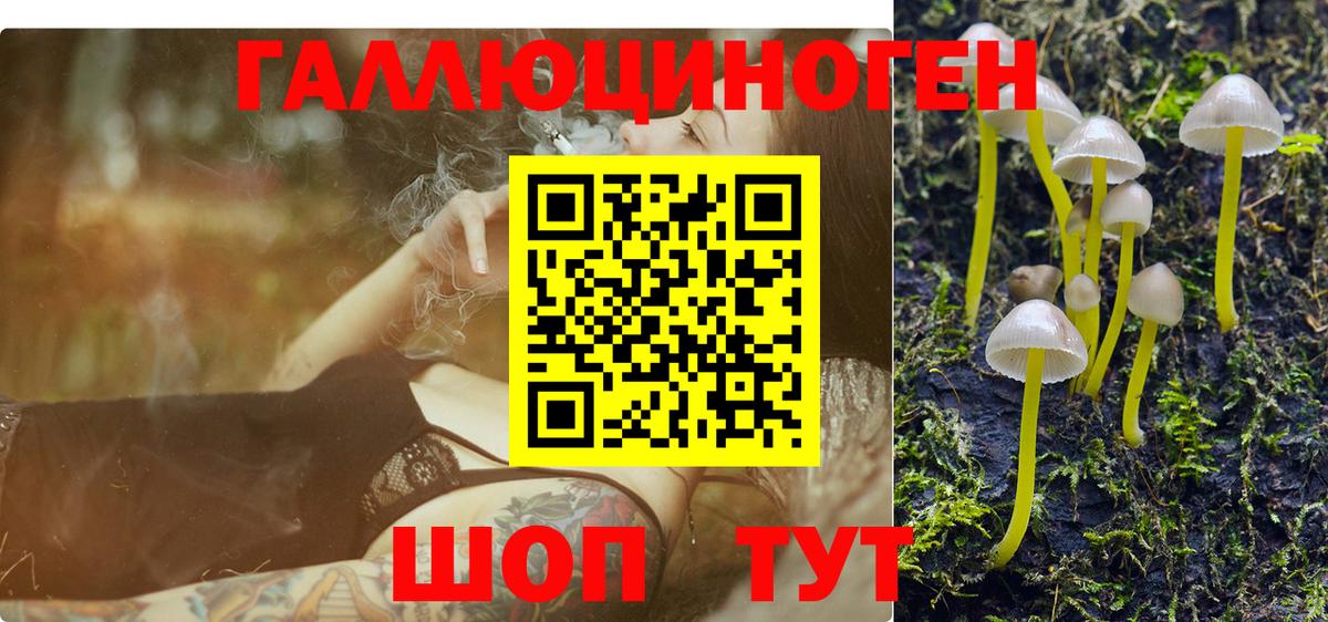 Галлюциногенные грибы мухоморы Коркино